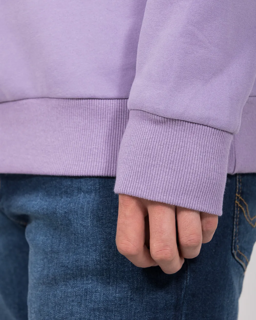 2t Hamish Tall Heavyweight Regular Fit Sweatshirt (dusky lilac)