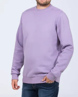 2t Hamish Tall Heavyweight Regular Fit Sweatshirt (dusky lilac)