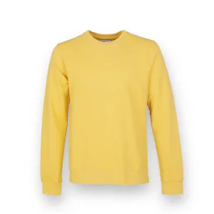 Colorful Standard Crew Sweat lemon yellow